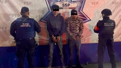 detenidos, SSP, Teziutlán, tala ilegal, troncos de pino