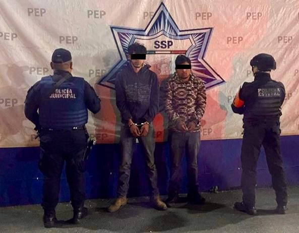 detenidos, SSP, Teziutlán, tala ilegal, troncos de pino