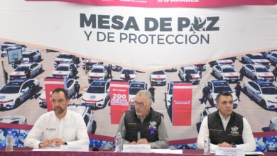 SSC, Félix Pallares Miranda, carteristas, bandas, robo, transporte público, transportistas