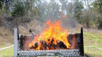 incineración, droga, destrucción, objetos del delito, FGR, Puebla