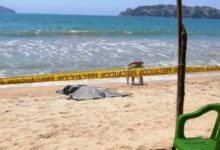 poblano, ahogado, Acapulco, Guerrero, Izúcar de Matamoros