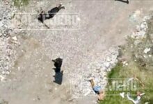 ejecutados, Santa María Xonacatepec, Jardines de San José, maniatados, amordazados, narcomenudeo, FGE, investigaciones, SSC, SSP