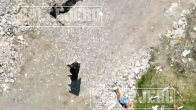 ejecutados, Santa María Xonacatepec, Jardines de San José, maniatados, amordazados, narcomenudeo, FGE, investigaciones, SSC, SSP