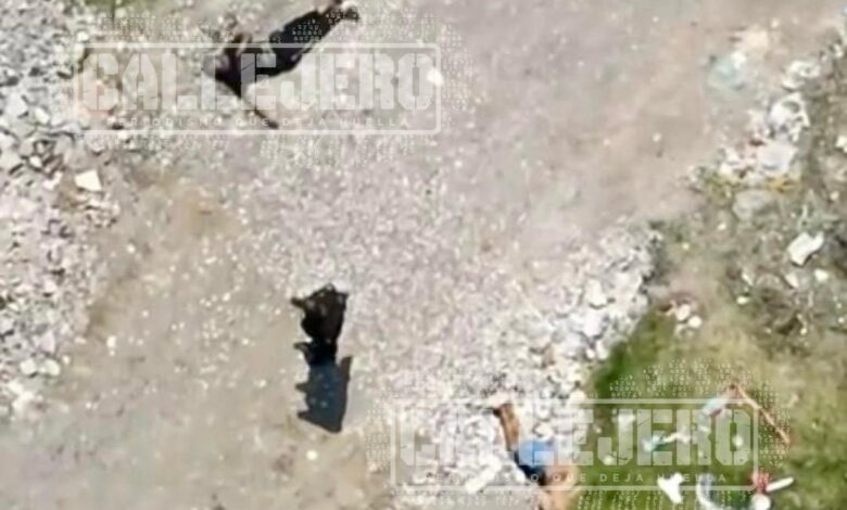 ejecutados, Santa María Xonacatepec, Jardines de San José, maniatados, amordazados, narcomenudeo, FGE, investigaciones, SSC, SSP