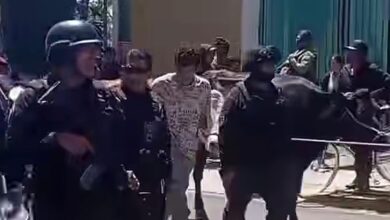 robo de ganado, abigeato, San Andrés Calpan, menor de edad, linchamiento, C5i