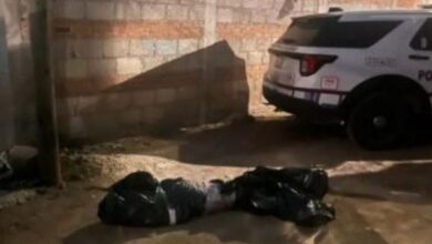 cadáver, embolsado, Nueva Paraíso, SSC, Fiscalía, investigaciones, grupos delictivos