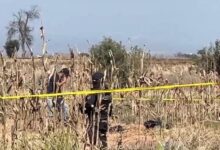embolsado, Coronango, San Antonio Mihuacán, Panteón de Apapaxco, FGE, investigaciones