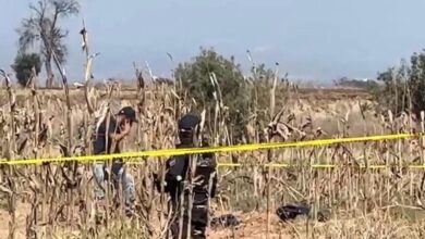 embolsado, Coronango, San Antonio Mihuacán, Panteón de Apapaxco, FGE, investigaciones