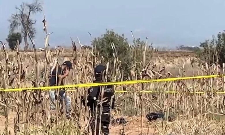 embolsado, Coronango, San Antonio Mihuacán, Panteón de Apapaxco, FGE, investigaciones