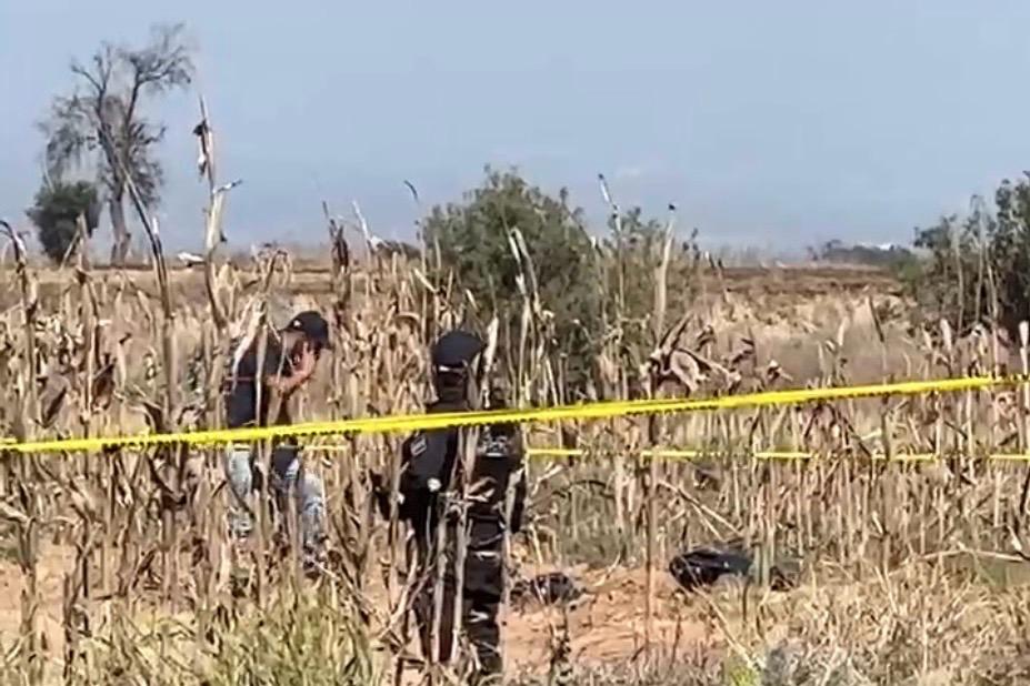 embolsado, Coronango, San Antonio Mihuacán, Panteón de Apapaxco, FGE, investigaciones