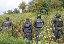 Zoquitlán, SSP, Policía Estatal, amapola