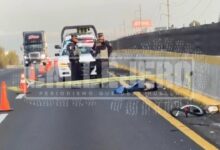 ciclista, muerto, autopista México-Puebla, Texmelucan, Capufe, accidente