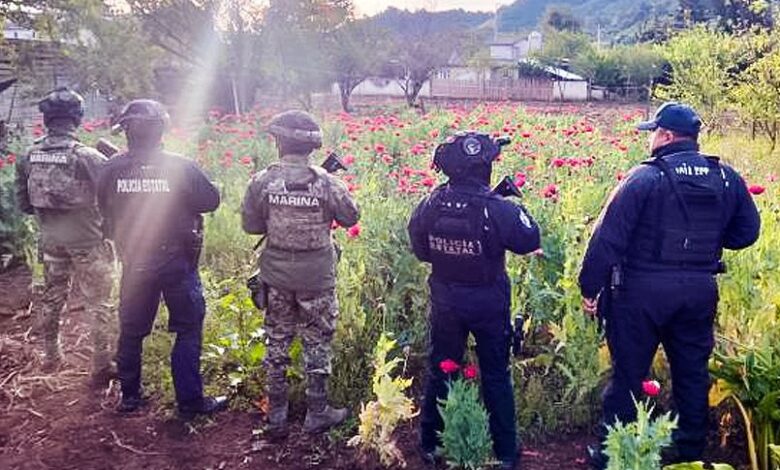 SSP, Semar, patrullaje aéreo, plantío de amapola, Atempan, opio, heroína