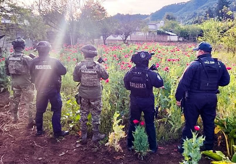SSP, Semar, patrullaje aéreo, plantío de amapola, Atempan, opio, heroína