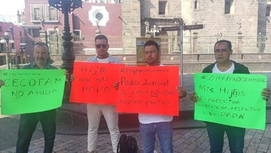 marcha, padres, alienación parental, guarda y custodia, convivencia, Soy papá no criminal, Puebla