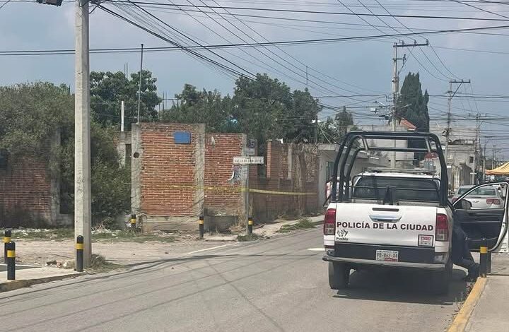 putrefacto, colonia Del Valle, obra en construcción, diligencias, persona en situación de calle
