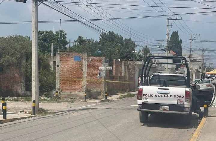 putrefacto, colonia Del Valle, obra en construcción, diligencias, persona en situación de calle