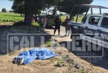 cadáver, Santa Isabel Cholula, San Jerónimo Tecuanipan, Lomas de Zavaleta, FGE, investigaciones