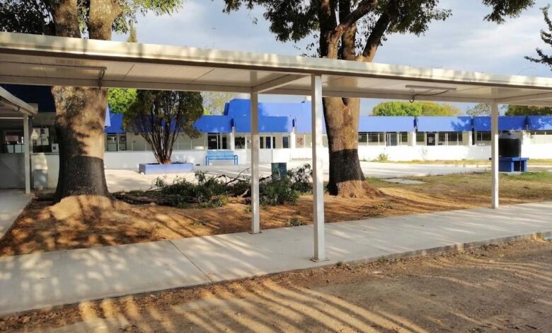 fuga, paciente, El Batán, Hospital Psiquiátrico Dr. Rafael Serrano, Lomas de San Miguel