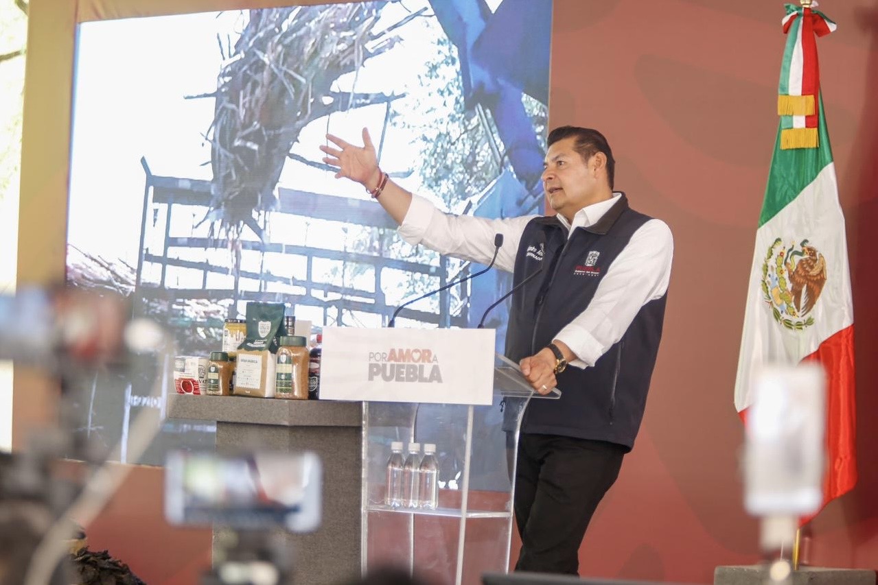 dictamen, Ayuntamiento, Medio Ambiente, Centro Histórico