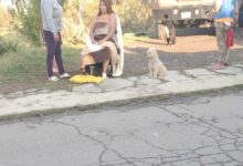 explosión, estallido, fuga de gas, San Aparicio, lesionados, flamazo