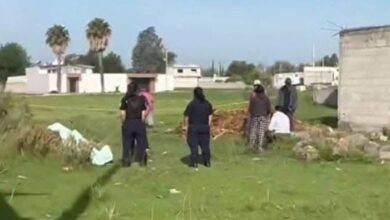 homicidio, golpeado, La Magdalena Tetela, Acajete, FGE, investigaciones