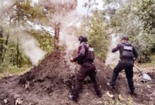 Policía Forestal, SSP, hornos clandestinos, madera, San Nicolás de los Ranchos