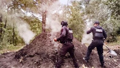 Policía Forestal, SSP, hornos clandestinos, madera, San Nicolás de los Ranchos