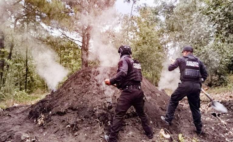 Policía Forestal, SSP, hornos clandestinos, madera, San Nicolás de los Ranchos