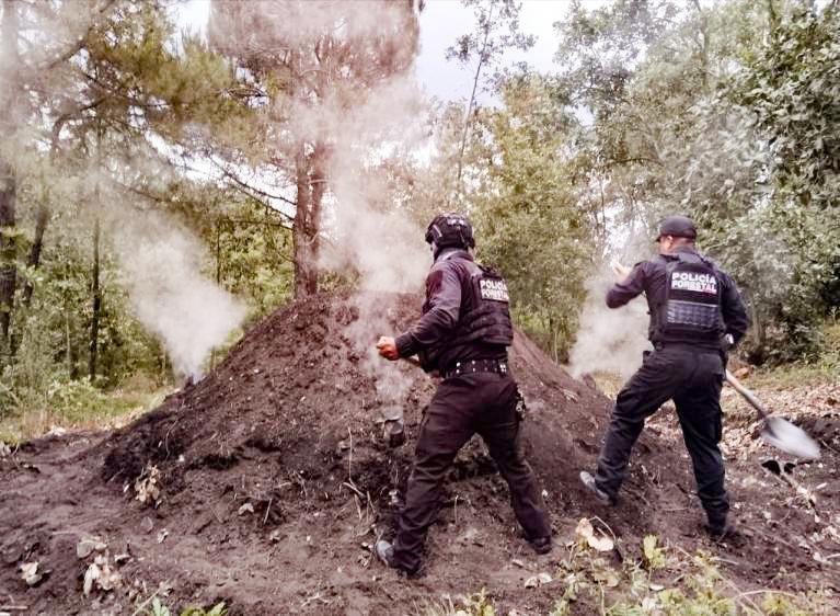 Policía Forestal, SSP, hornos clandestinos, madera, San Nicolás de los Ranchos