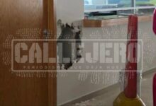 Chevrolet Peregrina Centro, robo, detenido, abuso de confianza, SSC, SSP