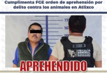 FGE, aprehensión, maltrato animal, crueldad animal, Atlixco, Blanquita