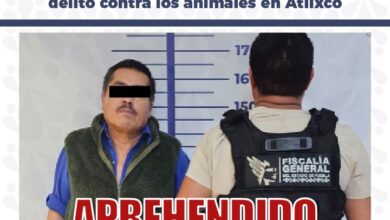 FGE, aprehensión, maltrato animal, crueldad animal, Atlixco, Blanquita