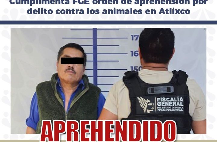 FGE, aprehensión, maltrato animal, crueldad animal, Atlixco, Blanquita