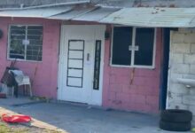 baleado, Granjas Puebla, homicidio, FGE, ejecutado