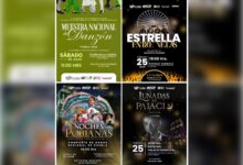 Gobierno de la Ciudad, Pepe Chedraui, cultura, semana de la danza