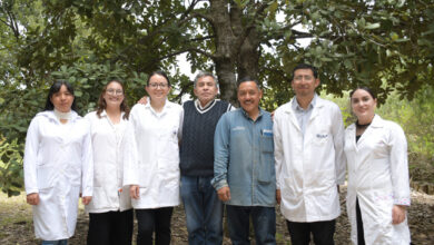 BUAP, Facultad de Química, Lilia Cedillo, nanomateriales, gusano barrenador