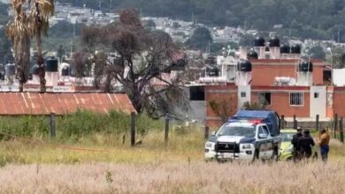 homicidio, Amozoc, autopista Puebla-Orizaba, cadáver, FGE, investigaciones