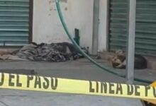 muerto, Central de Abasto, indigente, picadura de alacrán, Cruz Roja, SSC