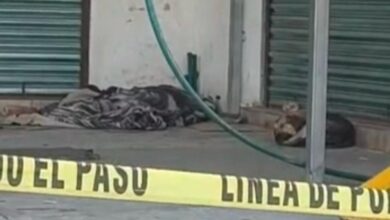 muerto, Central de Abasto, indigente, picadura de alacrán, Cruz Roja, SSC