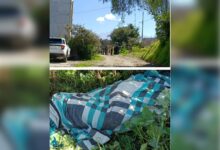 Eloxochitlán, ejecutado, CJNG, levantón, FGE, investigaciones