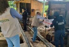 hornos clandestinos, madera, Tetela de Ocampo, Zacatlán, San Miguel Espejo, SSP, Policía Forestal, Semarnat, Profepa