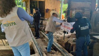 hornos clandestinos, madera, Tetela de Ocampo, Zacatlán, San Miguel Espejo, SSP, Policía Forestal, Semarnat, Profepa