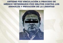 veterinario, privación ilegal de la libertad, FGE, vinculación a proceso, pastor belga, Barrio de San Sebastián