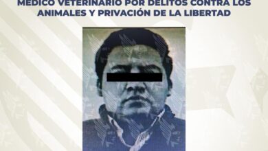 veterinario, privación ilegal de la libertad, FGE, vinculación a proceso, pastor belga, Barrio de San Sebastián