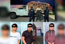 detenidos, SSP, recursos naturales, madera, tala ilegal, Oriental, Tlatlauquitepec