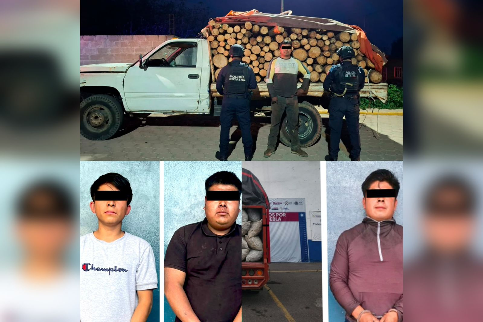detenidos, SSP, recursos naturales, madera, tala ilegal, Oriental, Tlatlauquitepec