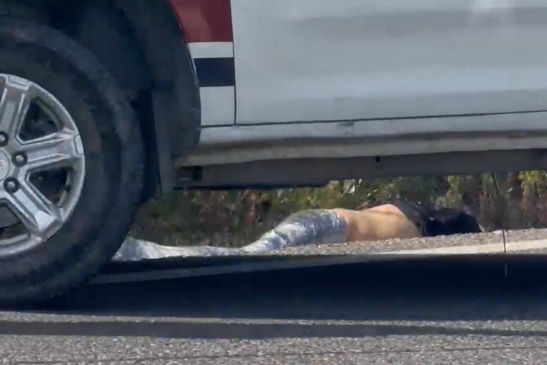 emplayado, carretera federal Amozoc-Nautla, Acajete, San Agustín Tlaxco, FGE, investigaciones