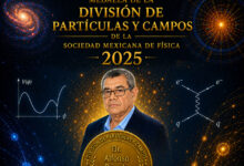 investigador BUAP, Medalla de la División de Particulas, Facultad de Física