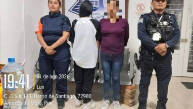 desaparecida, menor de edad, Amozoc, Protocolo Alba